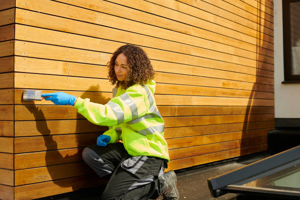 Best Stucco Siding  in Wheat Ridge, CO